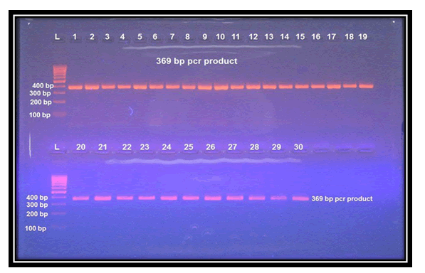 rna-genomics-electro