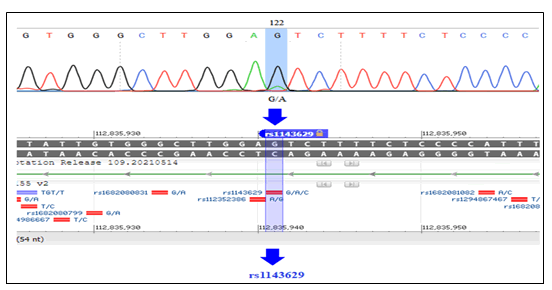 rna-genomics-genetic