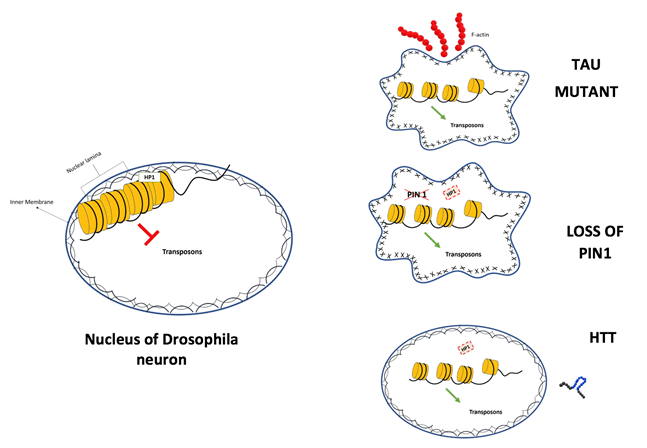 rna-genomics-overview