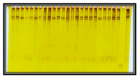 rna-genomics-silver