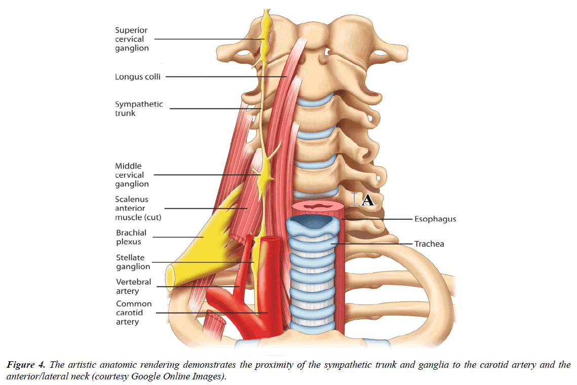 trauma-and-critical-care-arteriogram-demonstrates