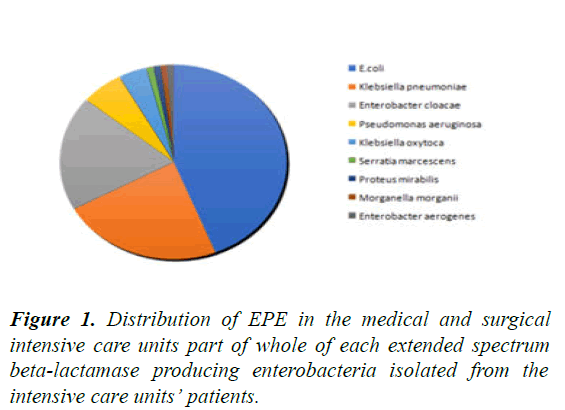 AAICCN-EPE