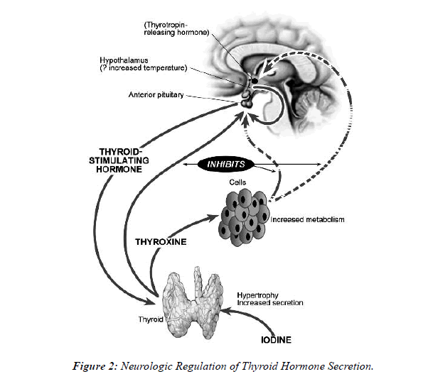 Anesthesiology-Clinical-Secretion