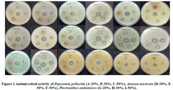 Chemical-Research