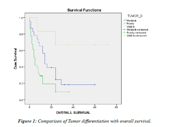 Clinical-Pathology-Tumor