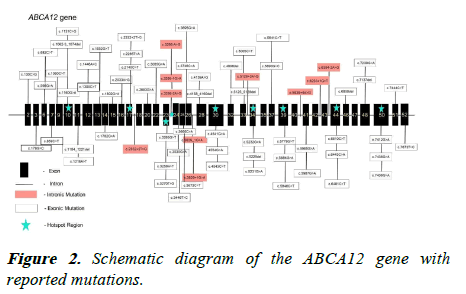 Research-Genetics