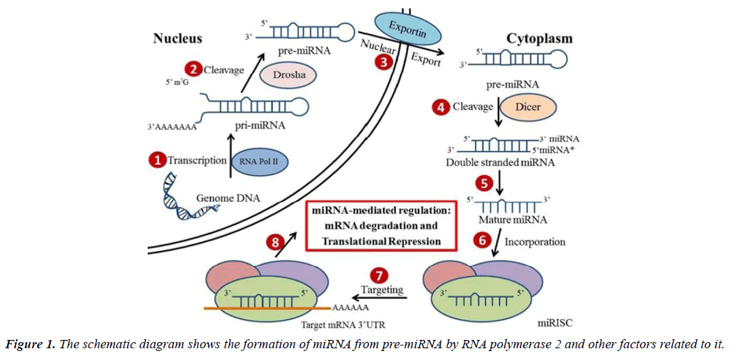 archives-general-internal-medicine-schematic-diagram