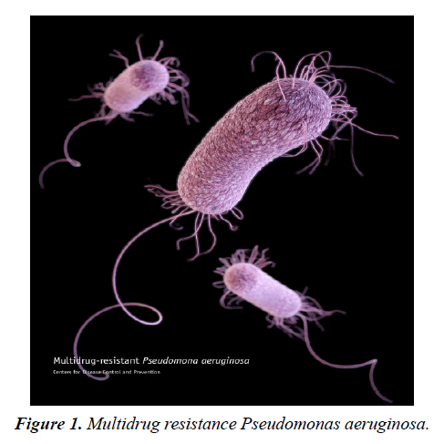 archives-of-general-internal-medicine-pseudomonas-aeruginosa