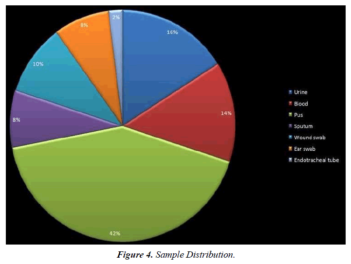 archives-of-general-internal-medicine-pseudomonas-aeruginosa