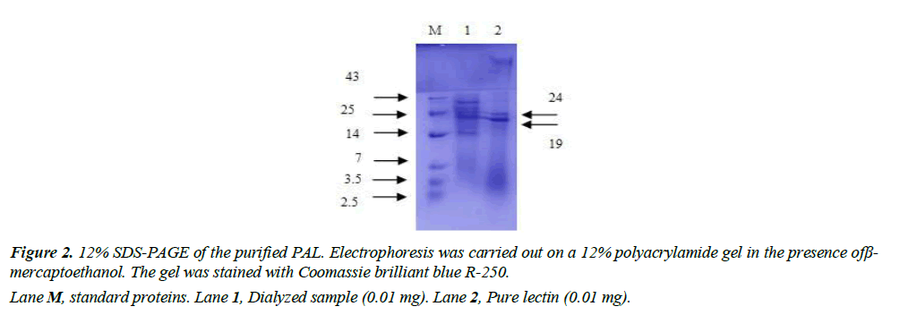 asian-biomedical-haemagglutination-activity