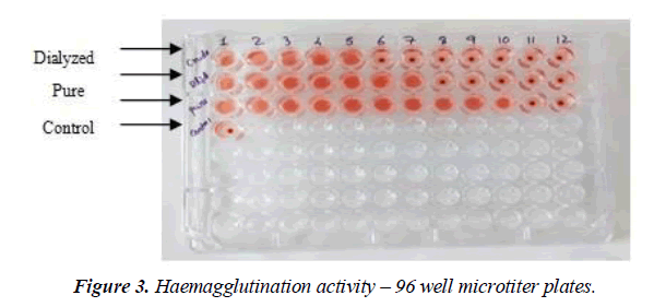 asian-biomedical-haemagglutination-activity