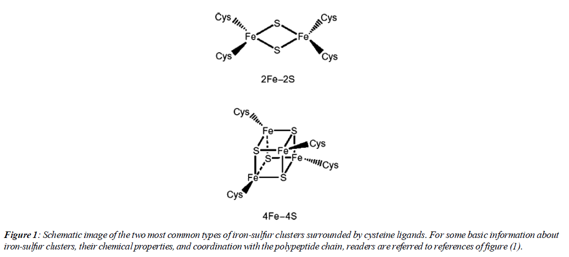 asian-biomedical-mucoid-lactose-polypeptide-chain