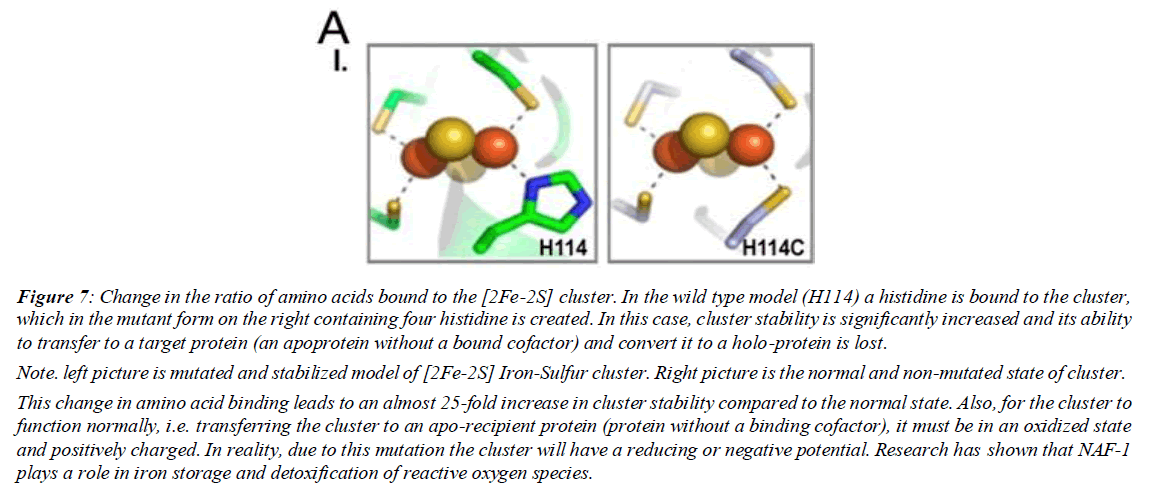 asian-biomedical-mucoid-lactose-polypeptide-chain