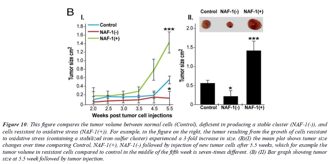 asian-biomedical-mucoid-lactose-polypeptide-chain