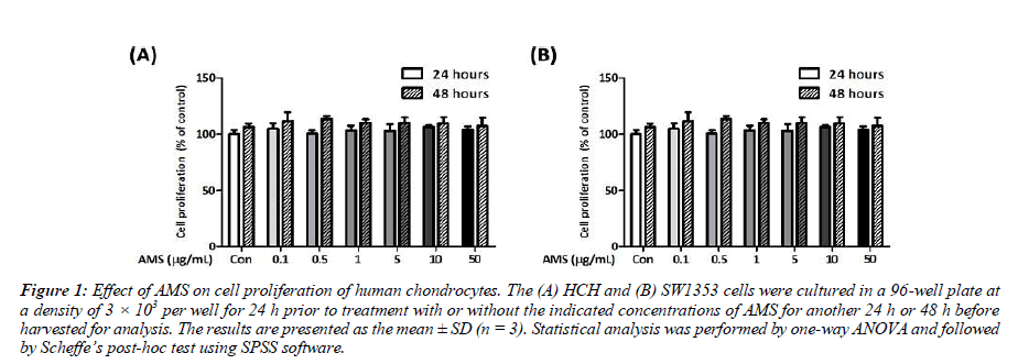 biochemistry-biotechnology-chondrocytes