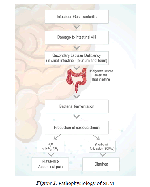 clinical-pediatric-boost