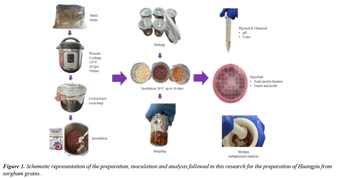 european-journal-of-experimental-concentration