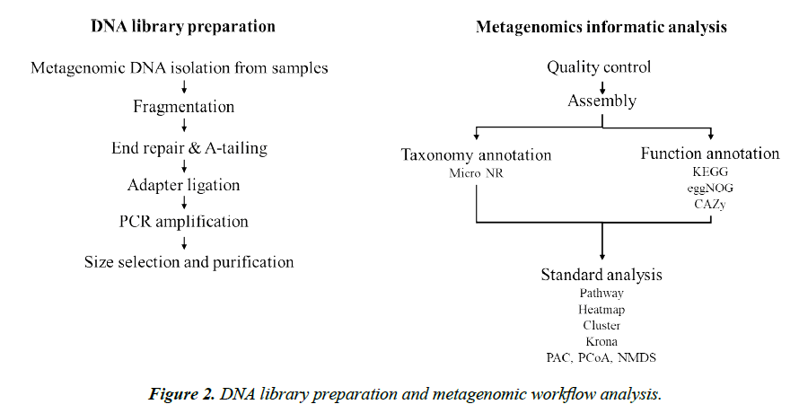 european-journal-of-experimental-concentration