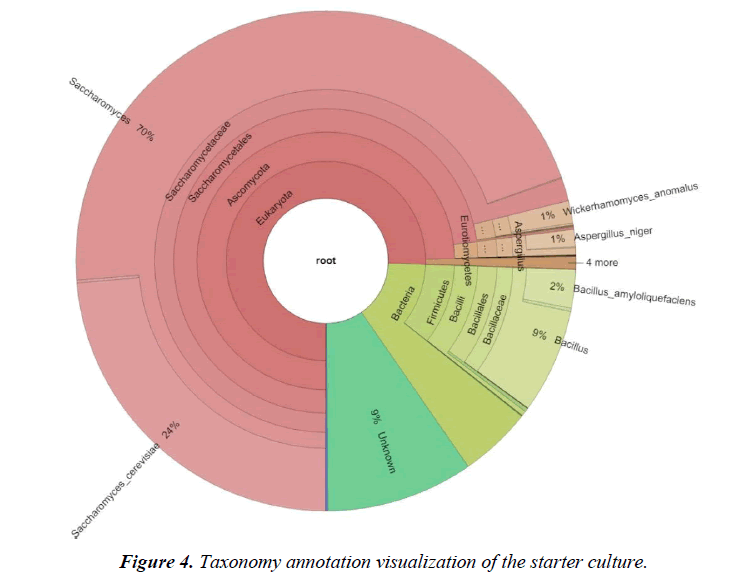 european-journal-of-experimental-concentration