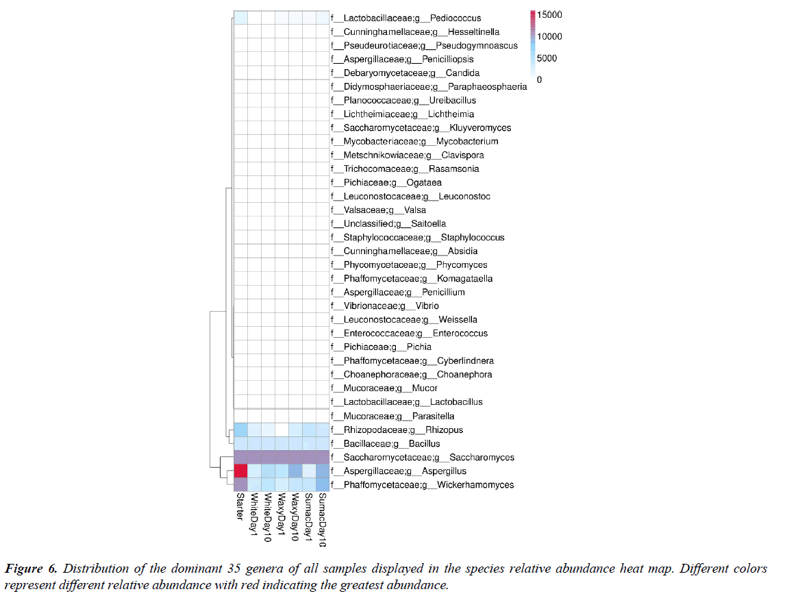 european-journal-of-experimental-concentration