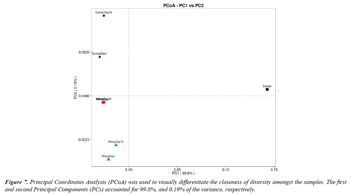 european-journal-of-experimental-concentration