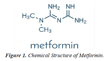 journal-diabetology-structure-metformin