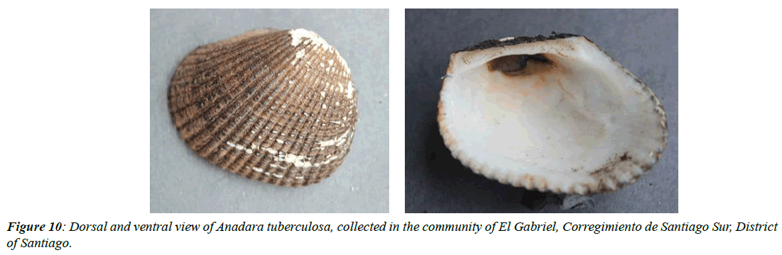 journal-fisheries-research-archaeological-sites