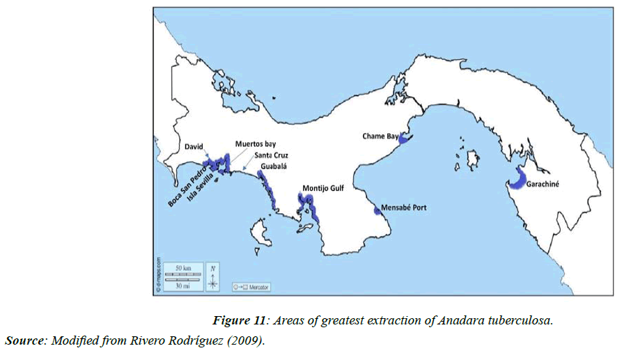 journal-fisheries-research-archaeological-sites