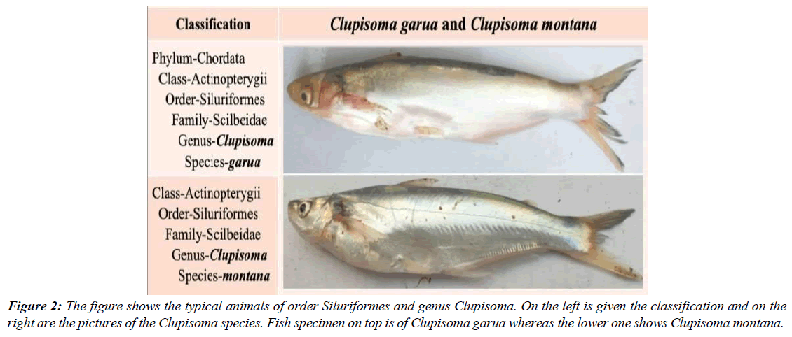 journal-fisheries-research-local-fishermen