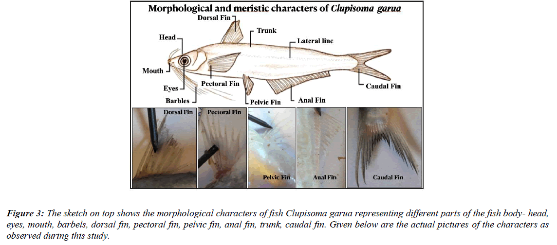 journal-fisheries-research-local-fishermen