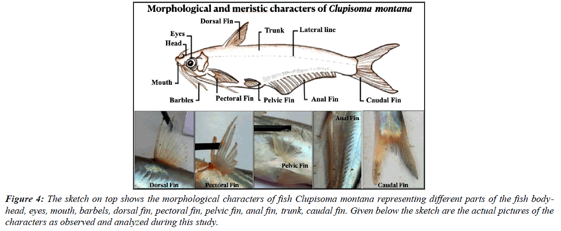 journal-fisheries-research-local-fishermen