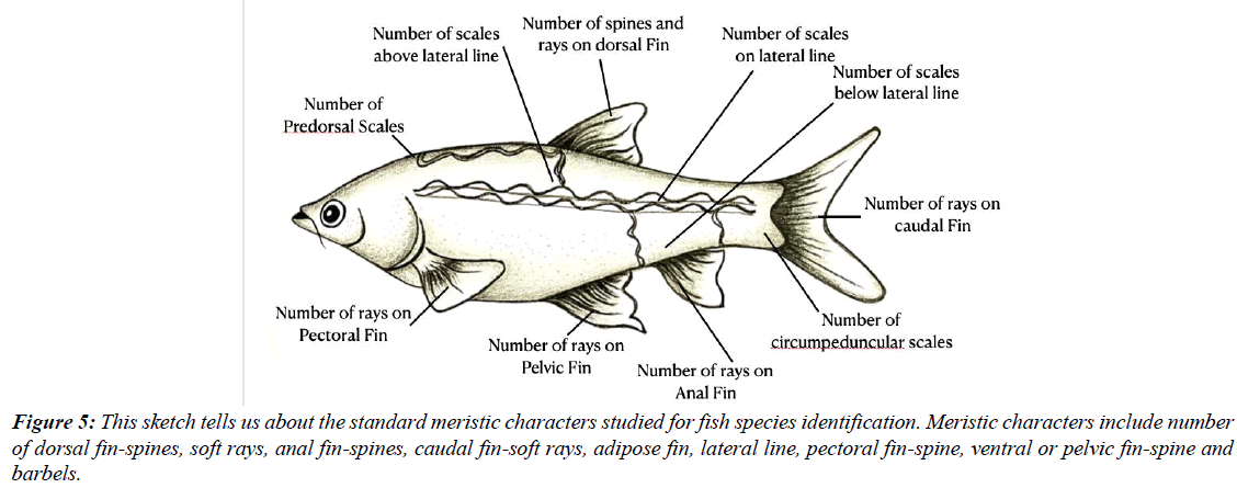 journal-fisheries-research-local-fishermen