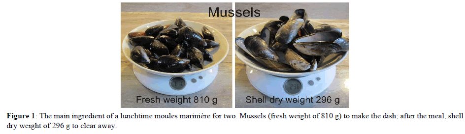journal-fisheries-research-lunchtime-moules