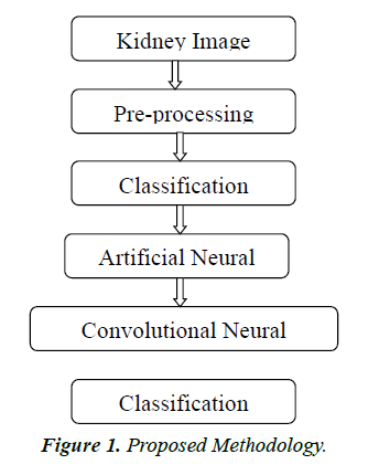 neurology-neurorehabilitation-research-proposed-methodology