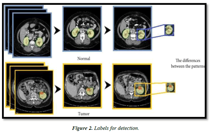 neurology-neurorehabilitation-research-proposed-methodology