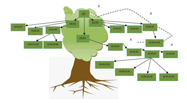 rnai-roots