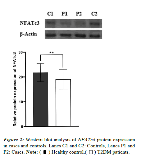 rna-genomics-actin