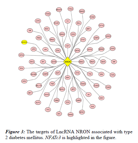 rna-genomics-gene