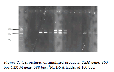 rna-genomics-gene