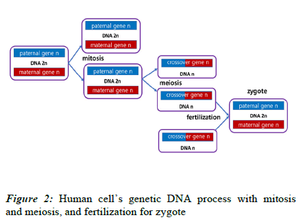 rna-genomics-human