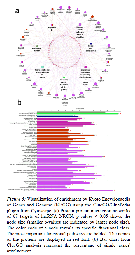 rna-genomics-kyoto