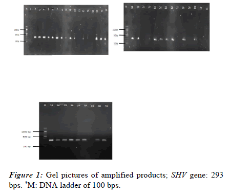 rna-genomics-picture