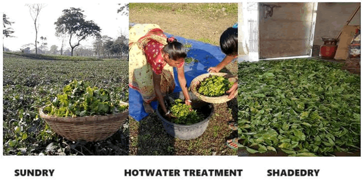 XXXXXXXXXXXX XXXXXXXXXXXX