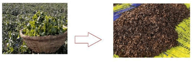 XXXXXXXXXXXX XXXXXXXXXXXX