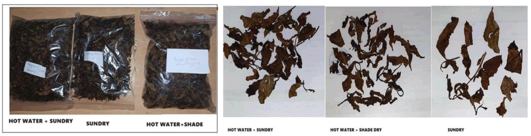 XXXXXXXXXXXX XXXXXXXXXXXX