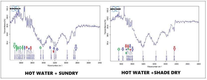 XXXXXXXXXXXX XXXXXXXXXXXX