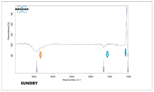 XXXXXXXXXXXX XXXXXXXXXXXX