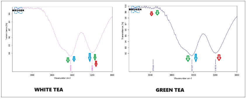 XXXXXXXXXXXX XXXXXXXXXXXX