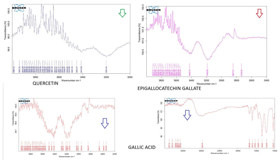 XXXXXXXXXXXX XXXXXXXXXXXX