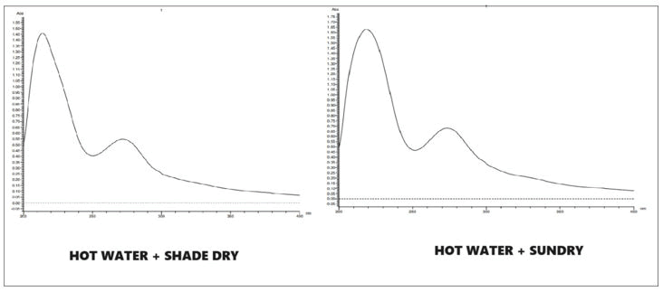 XXXXXXXXXXXX XXXXXXXXXXXX